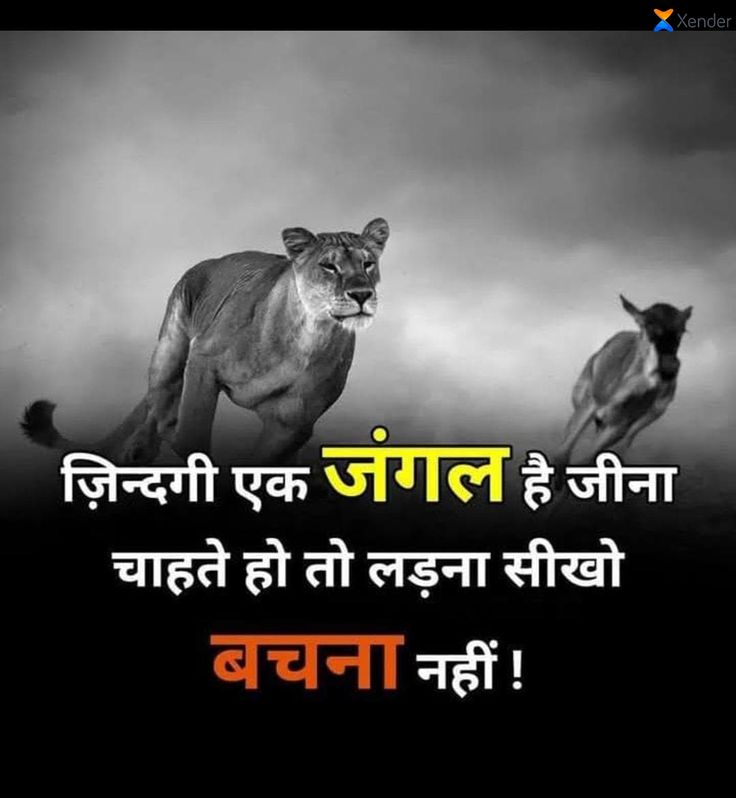 2 line attitude shayari, attitude shayari in hindi, attitude shayari images, 2 line shayari images, hindi attitude shayari, royal attitude shayari, killer attitude shayari, boy attitude shayari, girl attitude shayari, swag shayari images