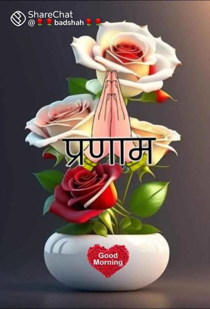 good morning images, good morning pictures, good morning photos, good morning pic, good morning wallpapers, morning images hd, beautiful good morning images, good morning wishes images, good morning quotes images, new good morning images