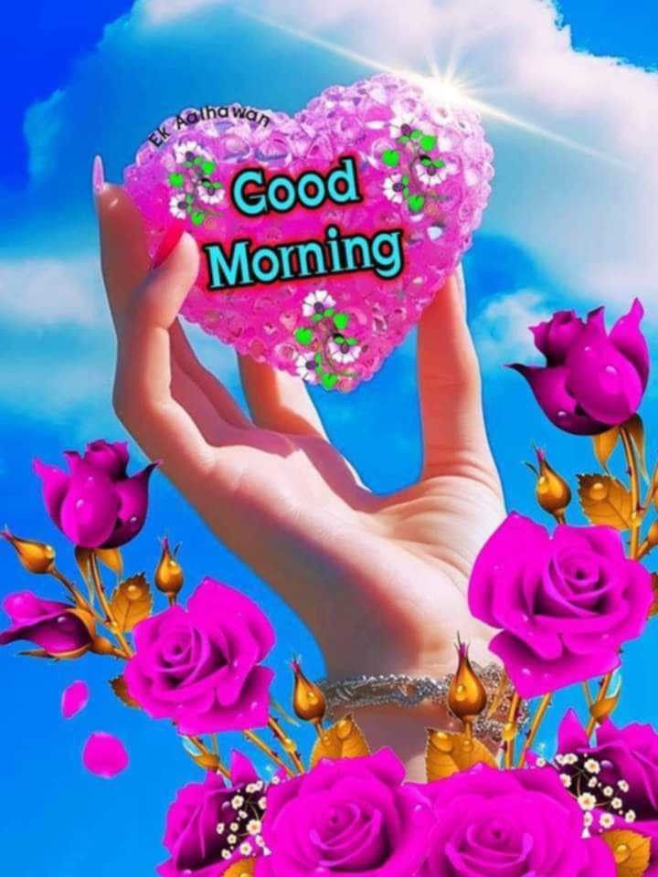 good morning images, good morning pictures, good morning photos, good morning pic, good morning wallpapers, morning images hd, beautiful good morning images, good morning wishes images, good morning quotes images, new good morning images