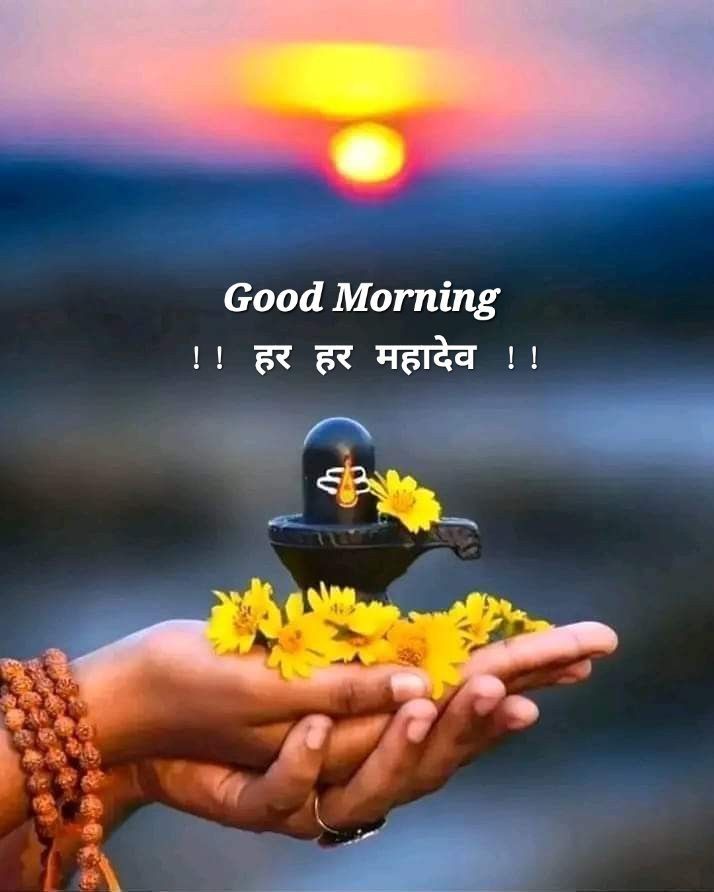 good morning images, good morning pictures, good morning photos, good morning pic, good morning wallpapers, morning images hd, beautiful good morning images, good morning wishes images, good morning quotes images, new good morning images