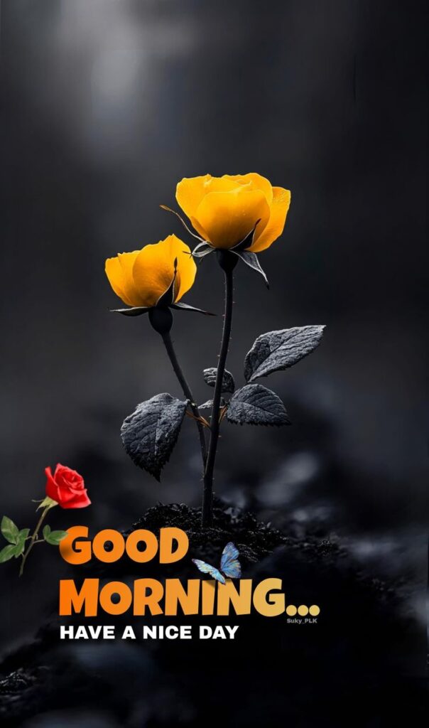 good morning images, good morning pictures, good morning photos, good morning pic, good morning wallpapers, morning images hd, beautiful good morning images, good morning wishes images, good morning quotes images, new good morning images