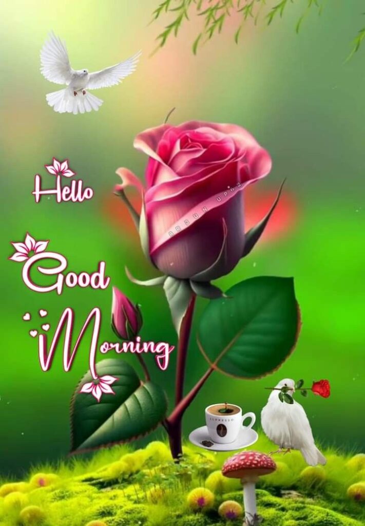 good morning images, good morning pictures, good morning photos, good morning pic, good morning wallpapers, morning images hd, beautiful good morning images, good morning wishes images, good morning quotes images, new good morning images