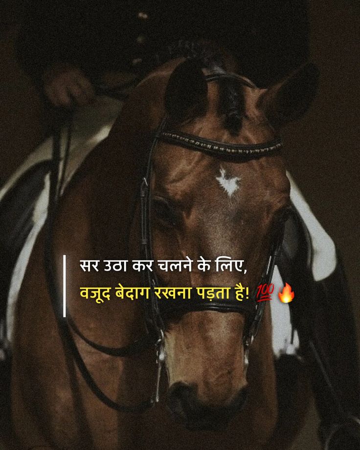 gangster attitude shayari, gangster shayari in hindi, attitude gangster shayari images, gangster shayari photos, gangster shayari pics, boys gangster attitude shayari, royal gangster shayari, killer gangster shayari, bad boy gangster shayari, hindi gangster shayari