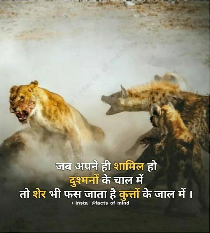 boys attitude shayari, attitude shayari in hindi, hindi attitude shayari images, boys attitude shayari images, attitude shayari photos, attitude shayari pics, royal attitude shayari, killer shayari for boys, swag attitude shayari, latest attitude shayari