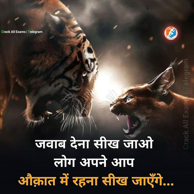 gangster attitude shayari, gangster shayari in hindi, attitude gangster shayari images, gangster shayari photos, gangster shayari pics, boys gangster attitude shayari, royal gangster shayari, killer gangster shayari, bad boy gangster shayari, hindi gangster shayari