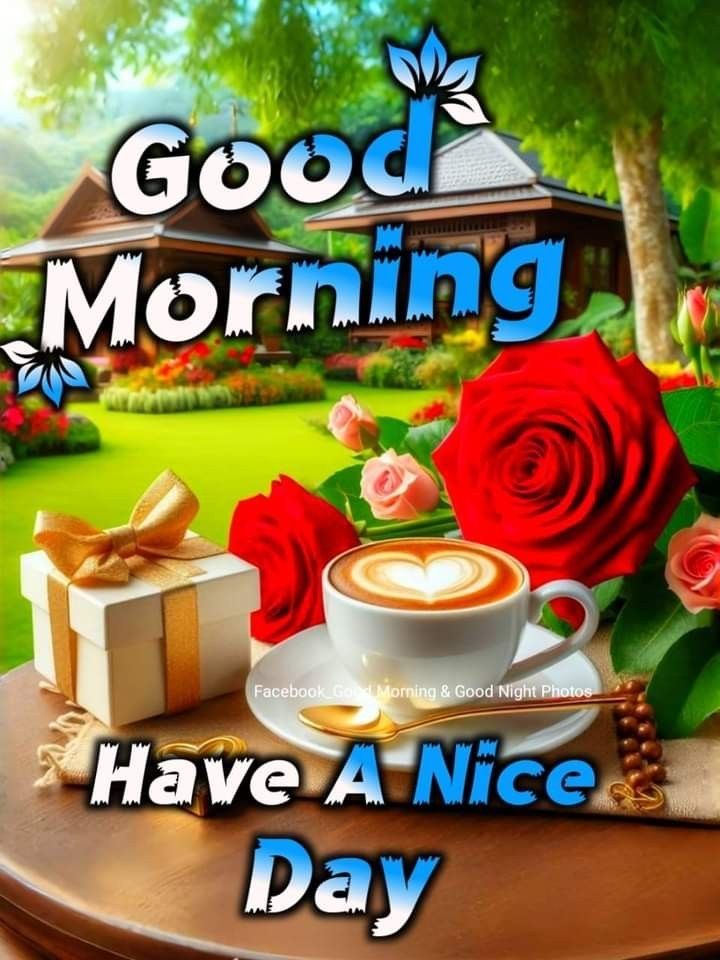 flower good morning images, beautiful good morning flowers, good morning flower photos, flower good morning pics, fresh flower good morning images, good morning wallpaper flowers, morning flower images, good morning rose images, good morning flower pictures, flower morning wishes