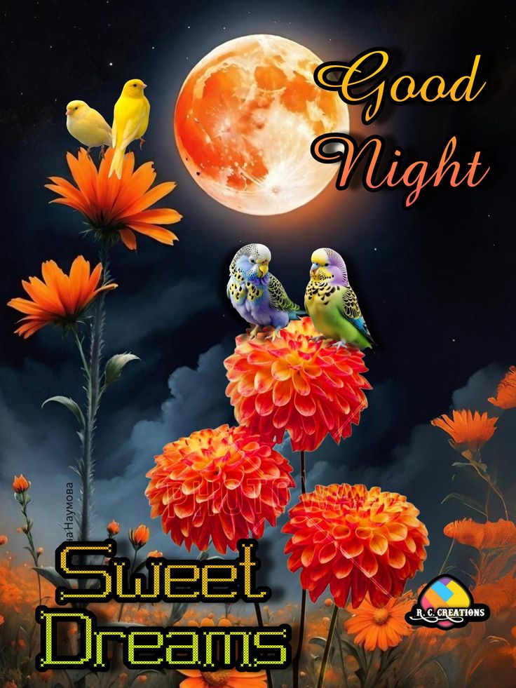 good evening images quotes, good evening photos, good evening pics, good evening wallpapers, evening quotes images, sunset good evening images, beautiful good evening pictures, good evening wishes photos, good evening hd wallpapers, evening greeting images