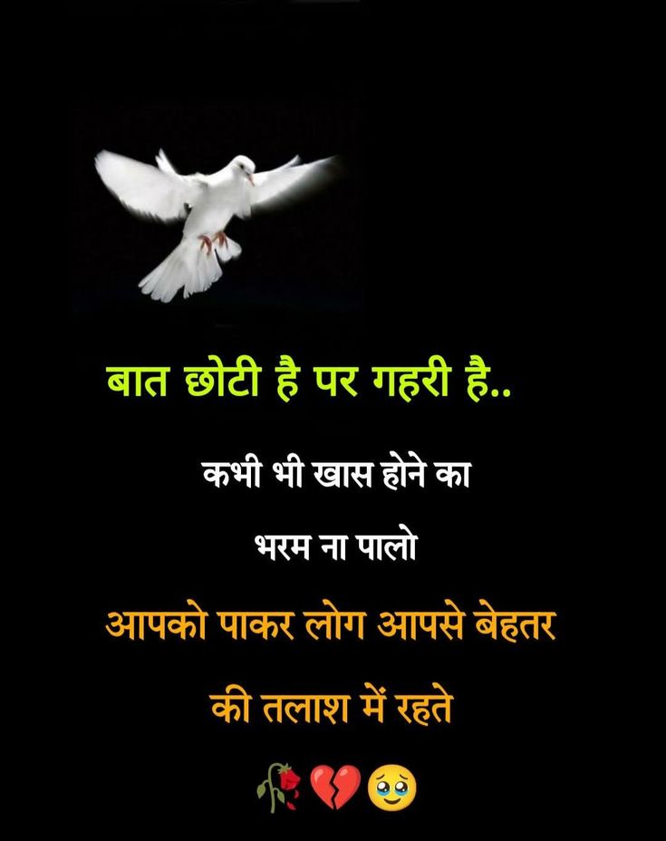 girls attitude shayari, attitude shayari for girls, girls attitude shayari in hindi, attitude shayari images for girls, stylish girls shayari pics, girl attitude status hindi, royal girls attitude shayari, killer girls shayari, swag girls shayari, dp shayari for girls