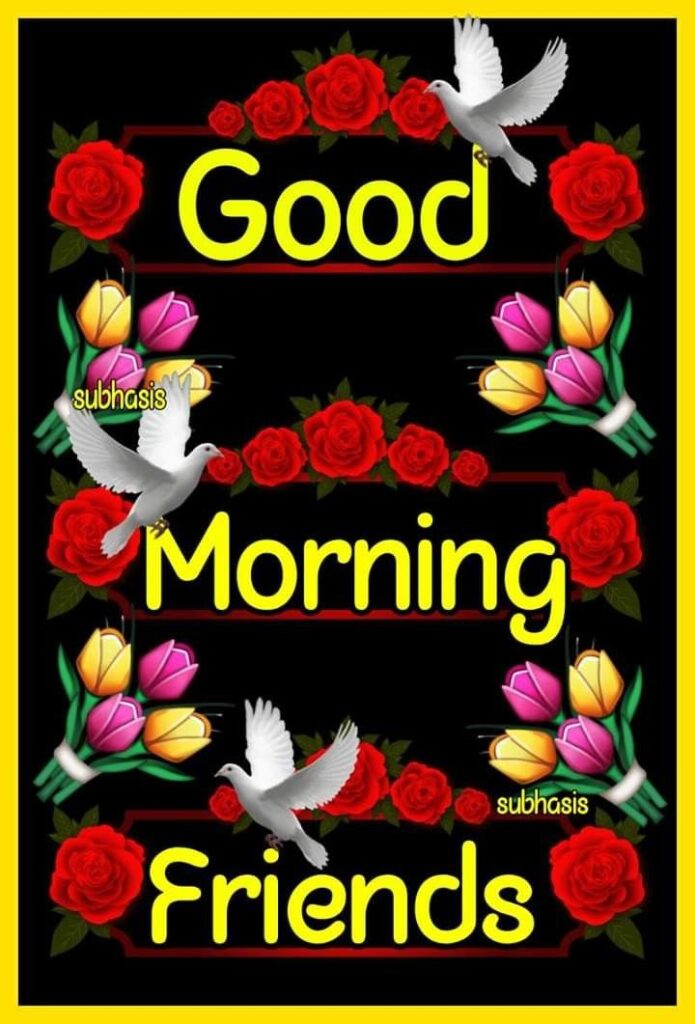 flower good morning images, beautiful good morning flowers, good morning flower photos, flower good morning pics, fresh flower good morning images, good morning wallpaper flowers, morning flower images, good morning rose images, good morning flower pictures, flower morning wishes