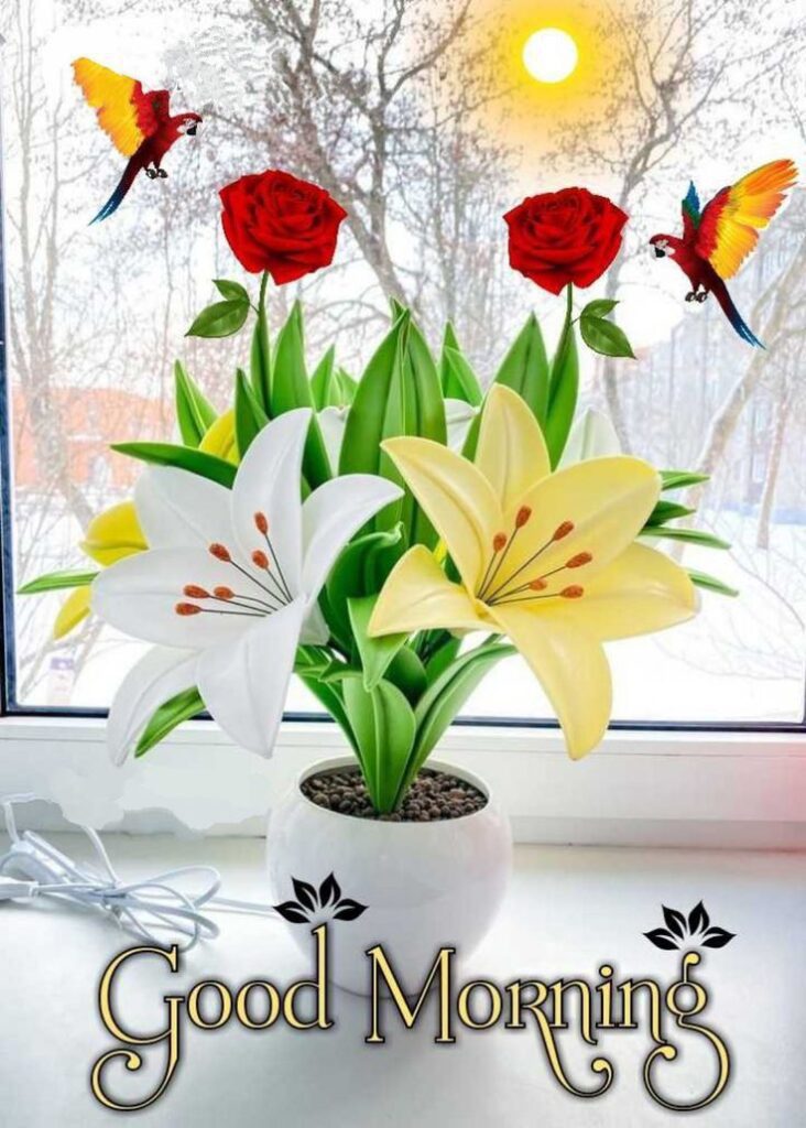 flower good morning images, beautiful good morning flowers, good morning flower photos, flower good morning pics, fresh flower good morning images, good morning wallpaper flowers, morning flower images, good morning rose images, good morning flower pictures, flower morning wishes