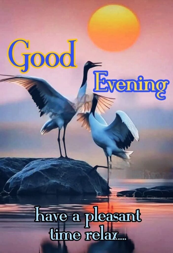 good evening images quotes, good evening photos, good evening pics, good evening wallpapers, evening quotes images, sunset good evening images, beautiful good evening pictures, good evening wishes photos, good evening hd wallpapers, evening greeting images