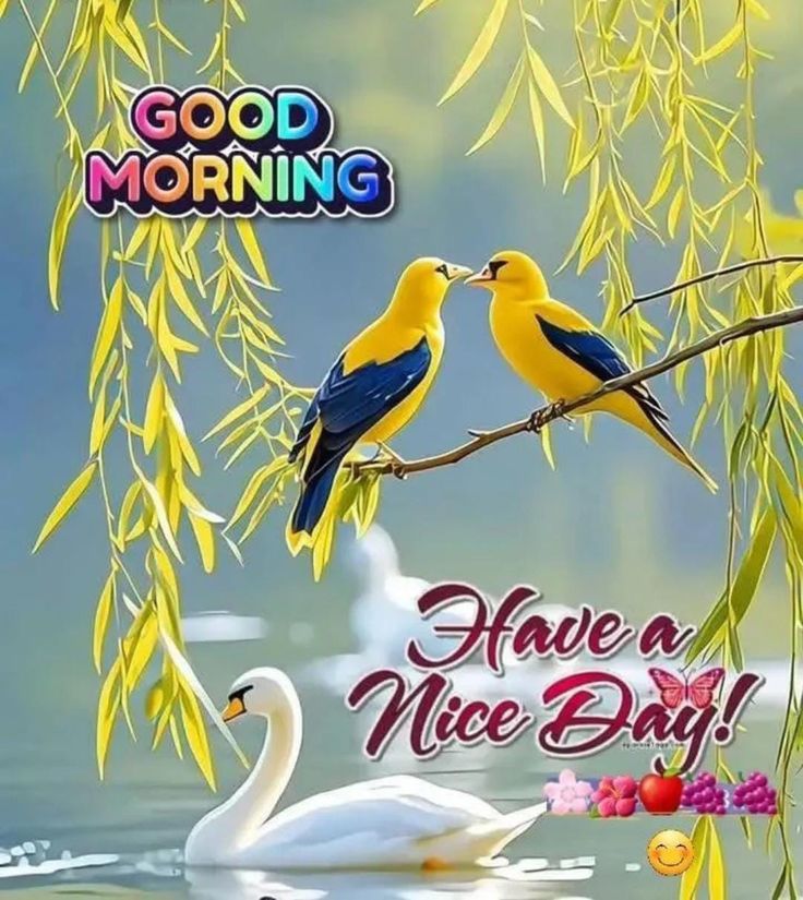 good morning images, good morning photos, good morning pics, good morning picture, good morning dp, good morning wallpapers, beautiful good morning images, hd good morning wallpapers, good morning wishes images, good morning images with quotes