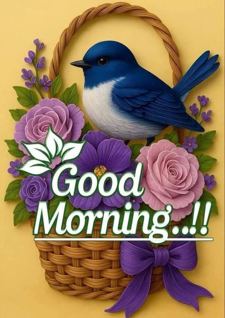 good morning images, good morning photos, good morning pics, good morning picture, good morning dp, good morning wallpapers, beautiful good morning images, hd good morning wallpapers, good morning wishes images, good morning images with quotes