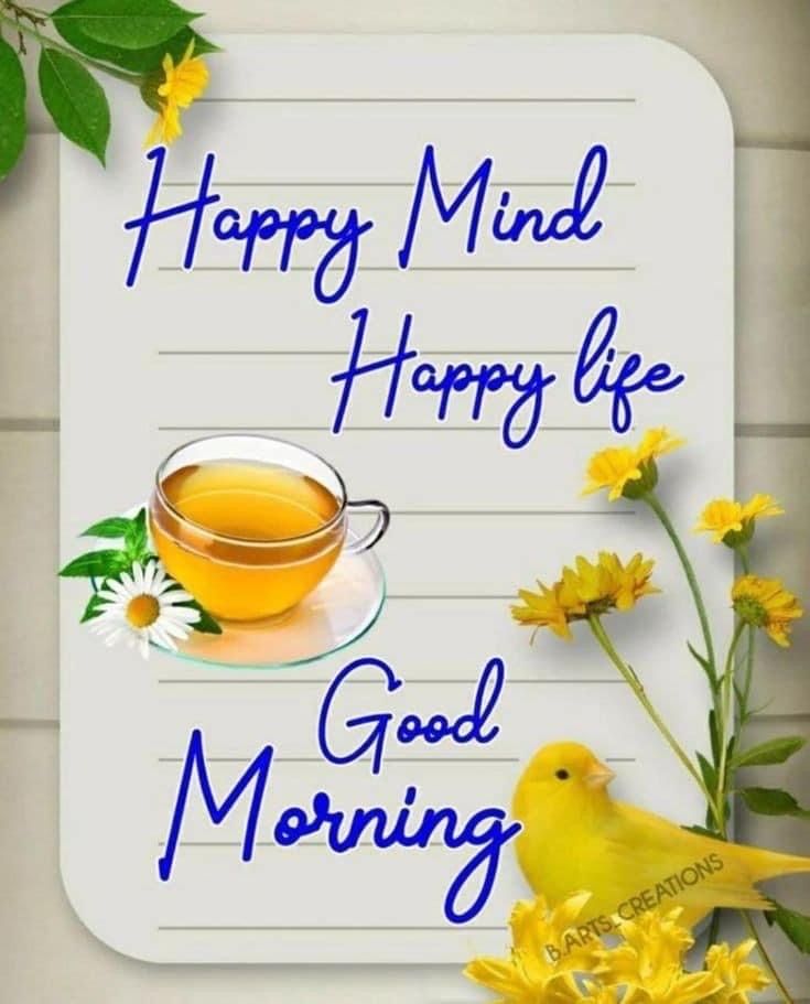 good morning images, good morning photos, good morning pics, good morning picture, good morning dp, good morning wallpapers, beautiful good morning images, hd good morning wallpapers, good morning wishes images, good morning images with quotes