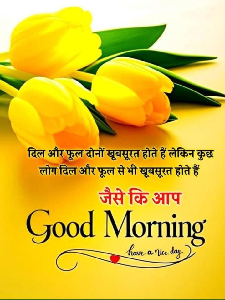good morning images, good morning dp, good morning pictures, good morning photos, good morning pics, good morning wallpapers, morning dp images, beautiful good morning images, good morning wishes images, hd good morning wallpapers