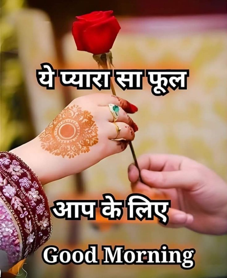 good morning images, good morning dp, good morning pictures, good morning photos, good morning pics, good morning wallpapers, morning dp images, beautiful good morning images, good morning wishes images, hd good morning wallpapers