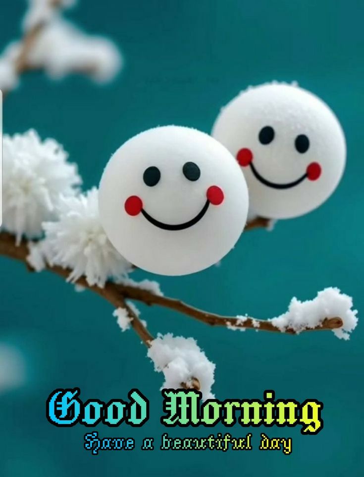 good morning images, good morning photos, good morning pics, good morning picture, good morning dp, good morning wallpapers, beautiful good morning images, hd good morning wallpapers, good morning wishes images, good morning images with quotes