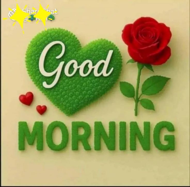 good morning images, good morning photos, good morning pics, good morning picture, good morning dp, good morning wallpapers, beautiful good morning images, hd good morning wallpapers, good morning wishes images, good morning images with quotes