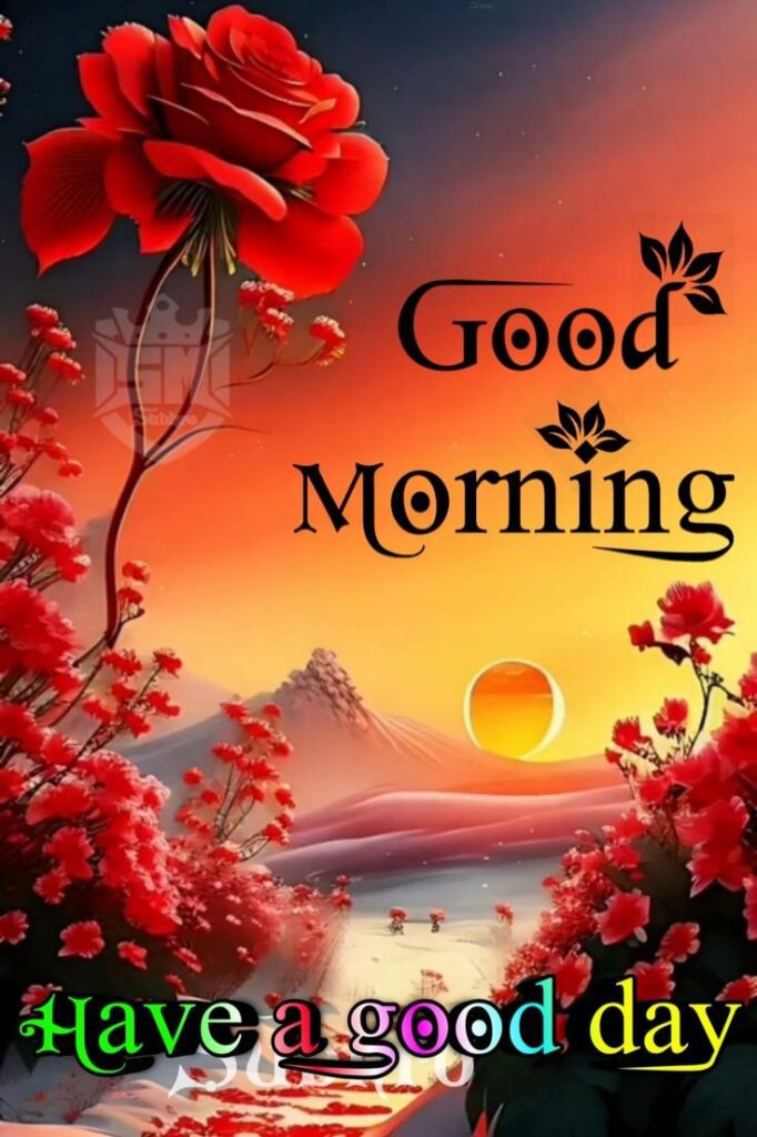 good morning images, good morning dp, good morning pictures, good morning photos, good morning pics, good morning wallpapers, morning dp images, beautiful good morning images, good morning wishes images, hd good morning wallpapers