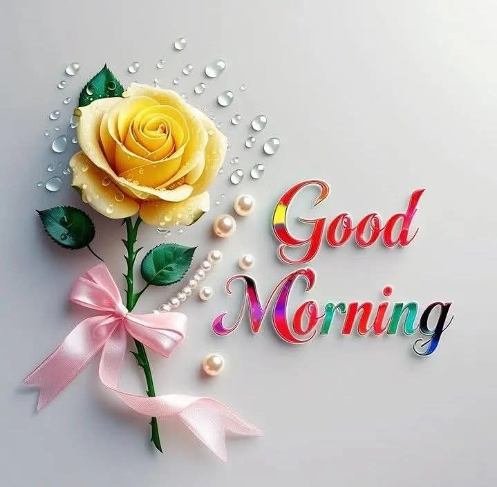 good morning images, good morning photos, good morning pics, good morning picture, good morning dp, good morning wallpapers, beautiful good morning images, hd good morning wallpapers, good morning wishes images, good morning images with quotes